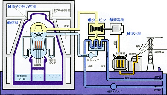 原子力発電 企業情報 東京電力