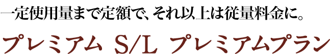 一定使用量まで定額で、それ以上はおトクに。プレミアム S/L プレミアムプラン