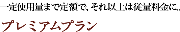 一定使用量まで定額で、それ以上はおトクに。プレミアムプラン