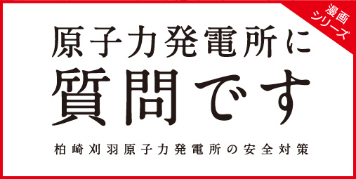 原子力発電所に質問です 柏崎刈羽原子力発電所の安全対策