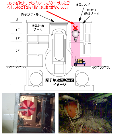 調査イメージ