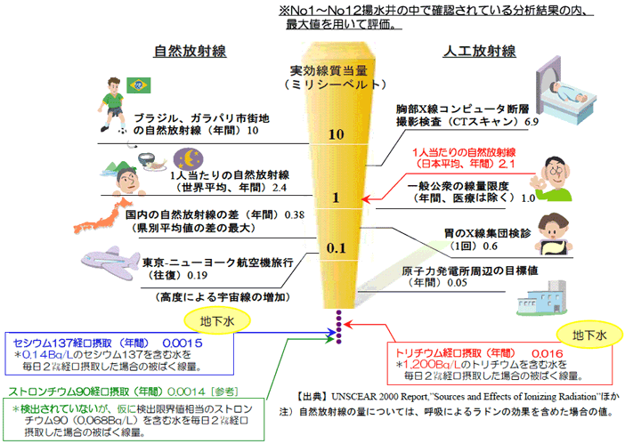 人体への影響（被ばく線量）