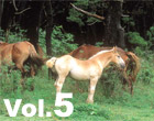 vol.05