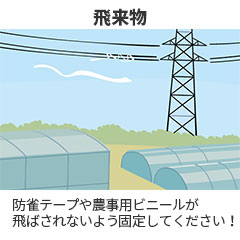 飛来物 防雀テープや農事用ビニールが飛ばされないよう固定してください！