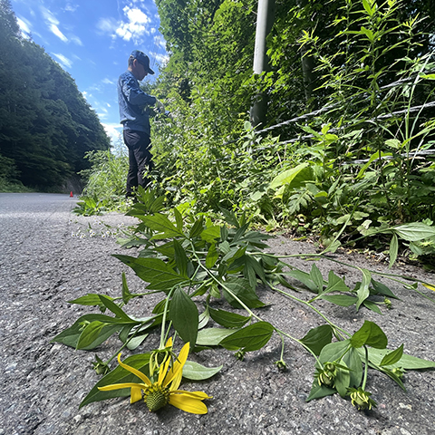 写真03