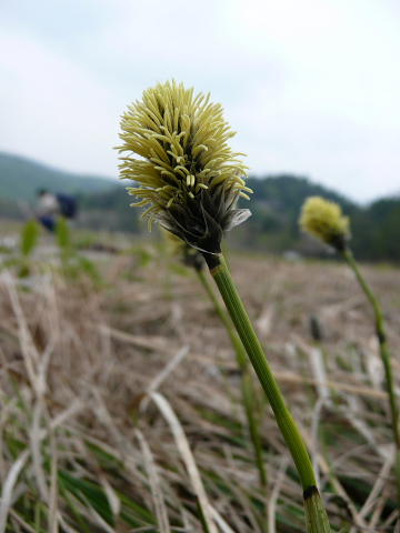 写真02