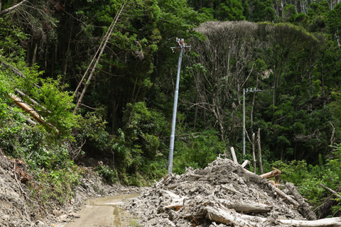 台風15号では多くの倒木により、電力設備に影響が及んだ（1）