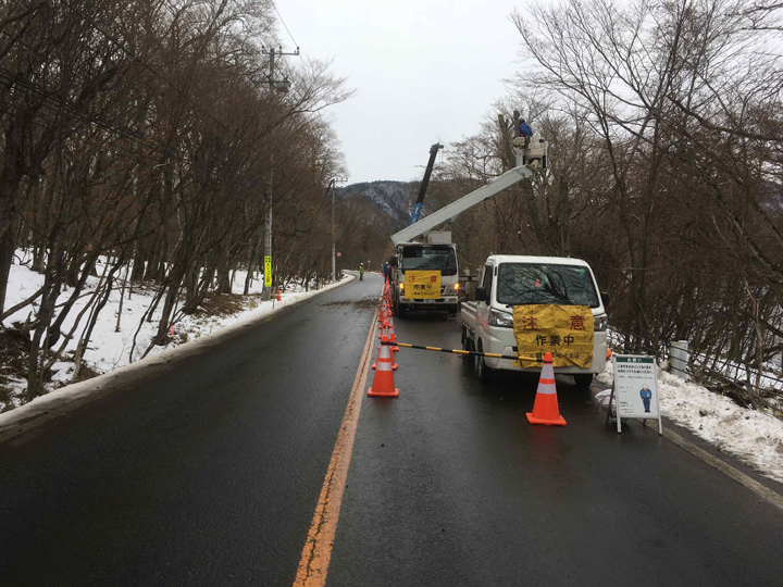 国道120号に隣接する樹木の予防伐採